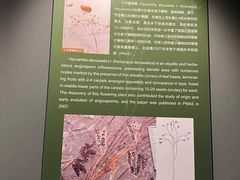 -辽宁古生物博物馆