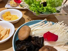 -青瓷火锅料理(西单大悦城店)