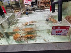 -万龙洲海鲜(大兴绿地缤纷城店)