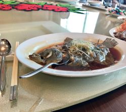 -郑州绿地JW万豪酒店·宴会厅