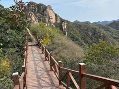 -大岭沟猕猴桃谷风景区