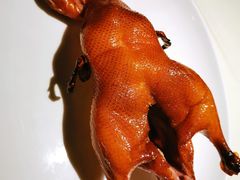 烧乳鸭-利苑酒家(金宝店)