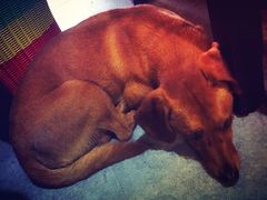 iphone_upload_pic-炙热童年·老北京炙子烤肉(南锣鼓巷店)