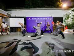 -少林功夫文化中心·独门独院