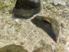 -三亚蜈支洲岛旅游区