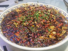 来凤鱼-新概念来凤鱼(璧山店)