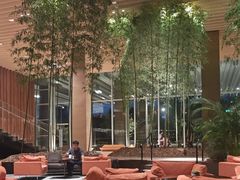 -北京望京凯悦酒店The Lounge大堂酒廊