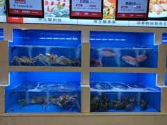 -一品滇香·云南菜(公益西桥店)
