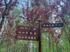 -重庆彩云湖湿地公园
