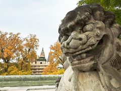-北京石刻艺术博物馆(五塔寺)