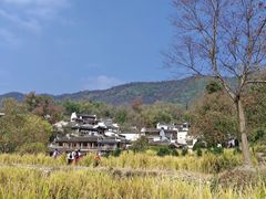 -塔川景区