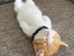 -火齐潮汕砂锅粥(五道口店)