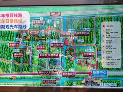 -黄海国家森林公园