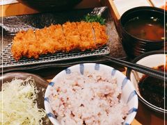 -胜博殿日式炸猪排(悠唐店)