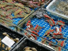 -霞涌市场海鲜摆卖区