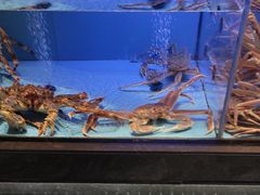 -阿伟海鲜楼·福建菜(延寿店)