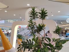 -野人先生Gelato(上海长宁龙之梦店)