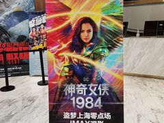 -SFC上影影城(港汇永华IMAX激光店)