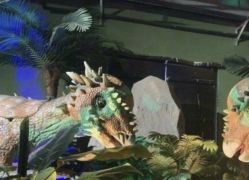 -恐龙探索乐园(磁器口店)