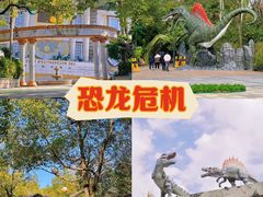 -株洲方特欢乐世界