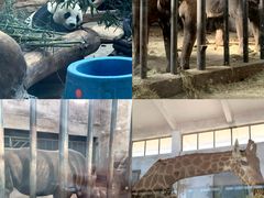 -石家庄市动物园