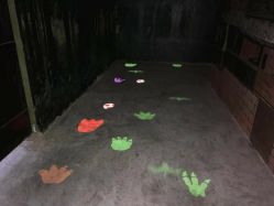 -恐龙探索乐园(磁器口店)