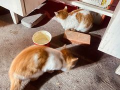 -鬼笑石后山停车场