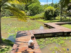 -中国科学院西双版纳热带植物园