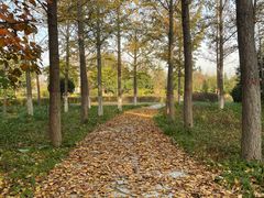 -华山御温泉度假村