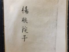 -杨桃院子咖啡吧(中华红墨店)