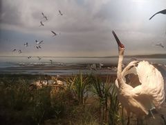 -中国湿地博物馆