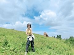 -灵山