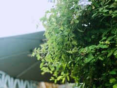 -天然居(伦教店)