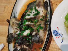 清蒸海石斑-君来湖滨饭店·渔餐厅