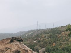 -白水寺森林公园