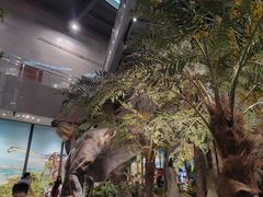 -湖南省地质博物馆