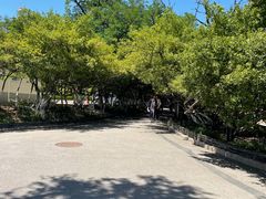 -烟台山景区