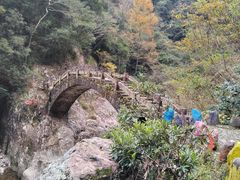 -龙湾潭国家森林公园