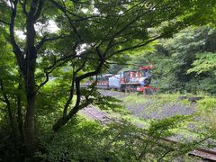 -济州森林小火车生态公园