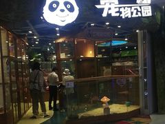 -龟与熊猫宠物公园(南坪店)