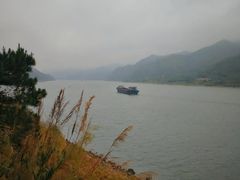 -羚羊峡古栈道森林公园