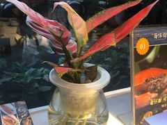 -百味馆·粤菜·湛江菜(后海花园店)