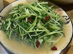 -鸡足缘·海稍鱼•野生菌火锅