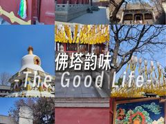 -护国法轮寺