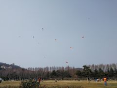 -汇泉广场