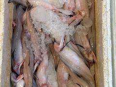 -隆都四季香饭店(碧海路店)