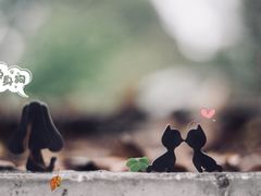 -五月木作·DIY木作文创体验店(北京路店)