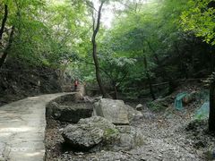 -北京上方山国家森林公园