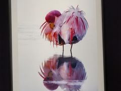 -罗红摄影艺术馆