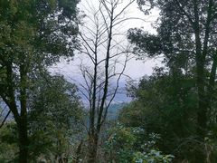 -杭州半山国家森林公园